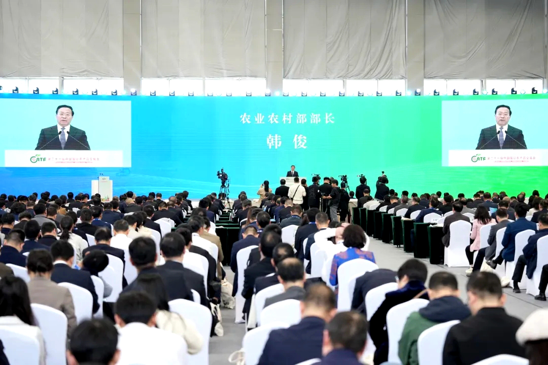 ����Ǯ��